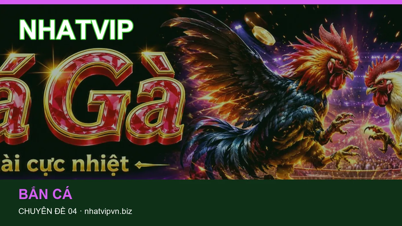 Những nhầm lẫn thường gặp khi đọc nội dung Casino trực tuyến trên NHATVIP