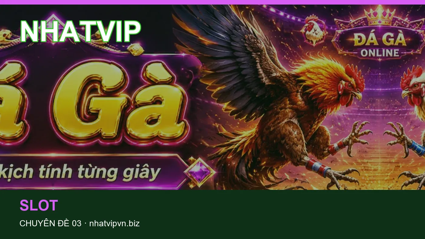 Slot: những thuật ngữ cần hiểu khi tra cứu NHATVIP