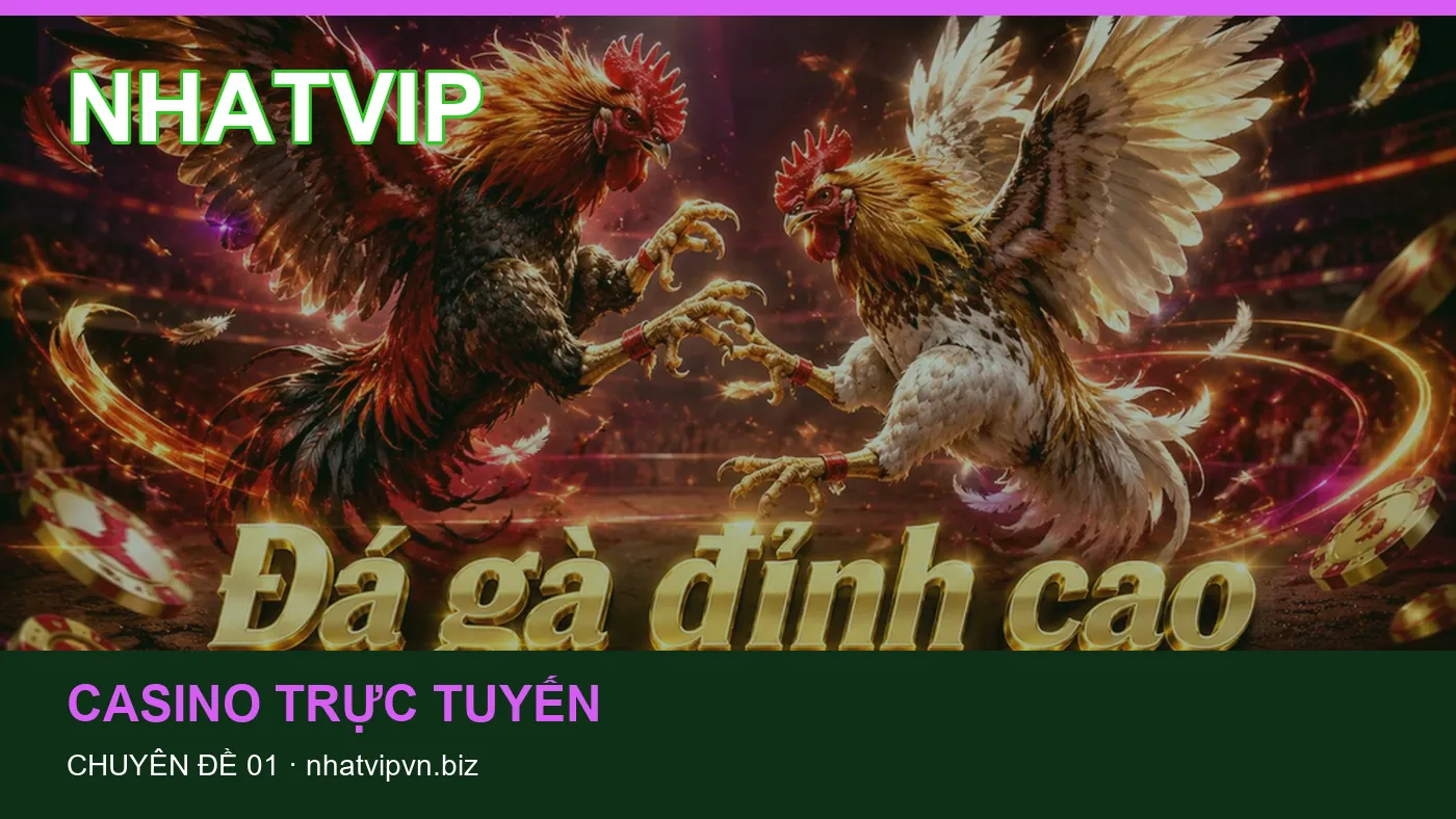 Đối chiếu nguồn và thời điểm cập nhật trong Slot của NHATVIP